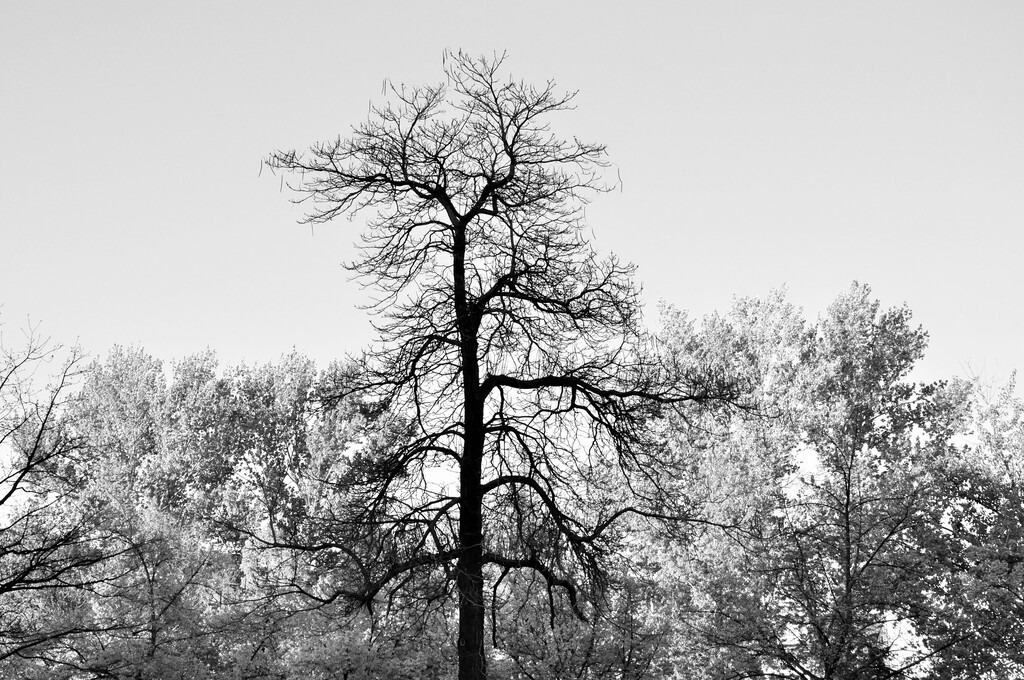 DSC_8948 (2) | Annaeherungen - Realisiert mit Pictrs.com