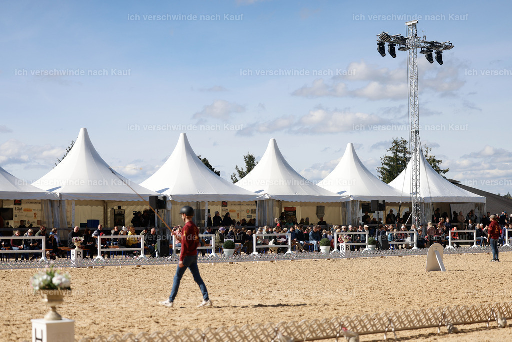 _AM19110 | working equitationturnier fotograf videograf stoibphotography marixx film working equitation deutschland reitsport turnierfotografie eventfotografie equestrian events