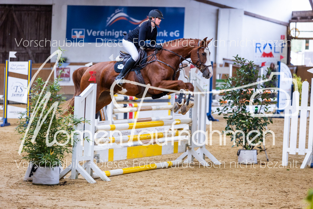 Sth-A-Springen-078 | MomenTaufnahmen Pferdesportfotos