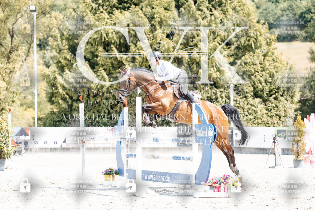 CK900954 | Turnierfotografie Pferdefotografie Trier Rheinland-Pfalz Pferdesport Reitsport Tierfotografie Sportfotografie Pferdevideo Pferdevideografie Equestrianvideography equestrianphotography  - Realisiert mit Pictrs.com