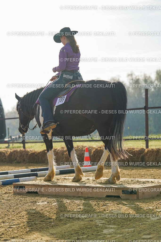 DSC00241 | Pferdegrafie