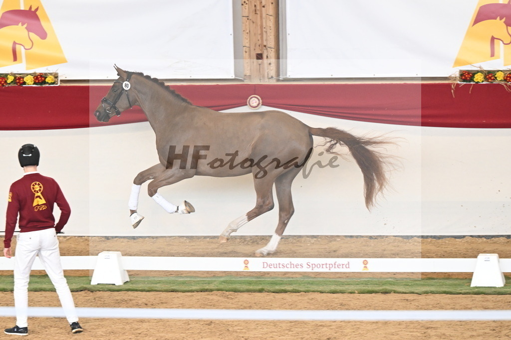 Kat.-Nr. 80 v. Va Bene_Klakow_3261262 | hf-fotografie - Realizzato con Pictrs.com