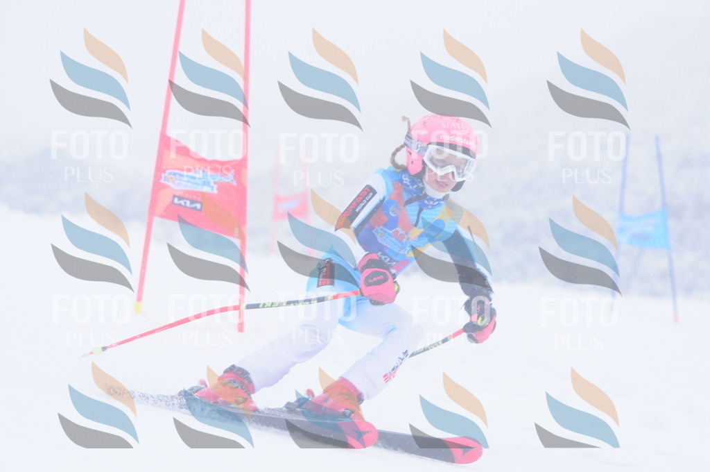 C1963 | holidayphoto