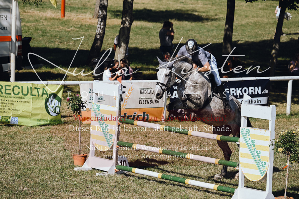DSC_1983 | Pferde- und Turnierfotografie in Westsachsen. Pferdeportraits, Auftragszeichnungen und intuitive Kunst.