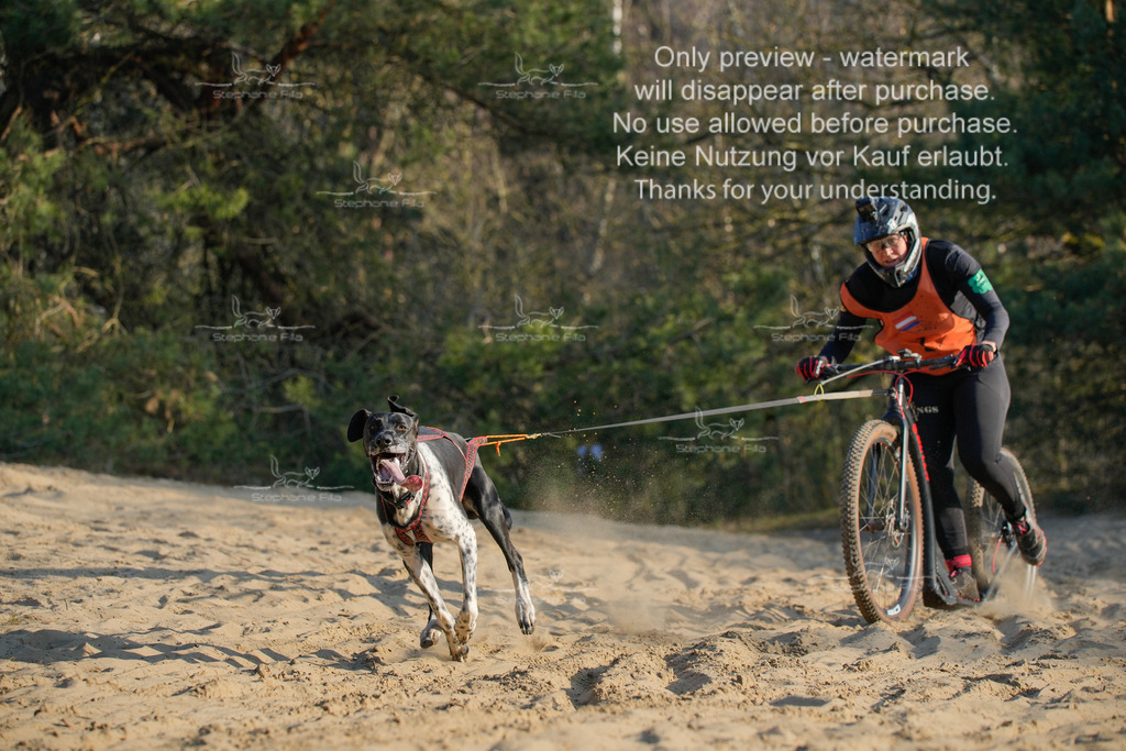 So_Scooter-6 | stephaniefillaphotographie - Realisiert mit Pictrs.com