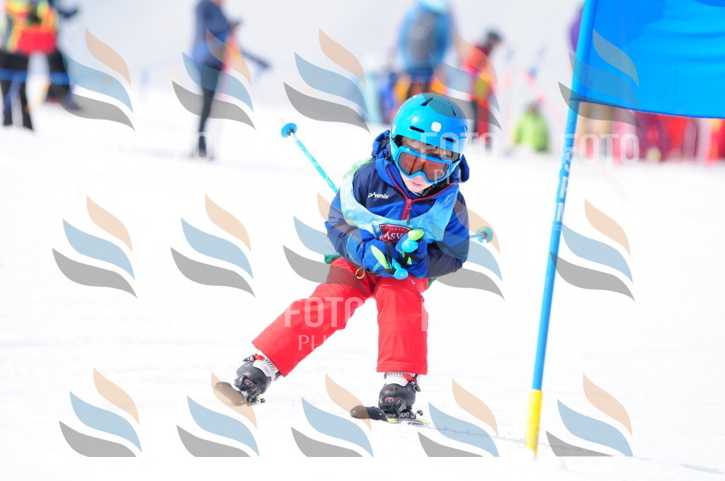 A3694 | holidayphoto