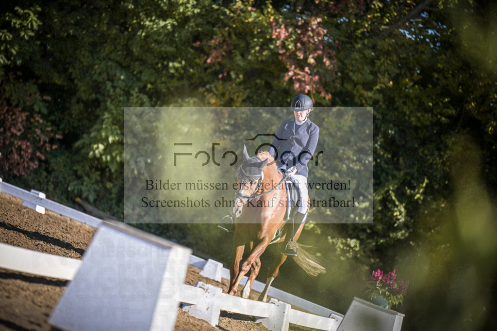 DOS_1876 | Entdecke hochwertige Reitturnierfotos von Foto Oger. Professionell, emotional und authentisch – jetzt Lieblingsmomente im Shop bestellen.Deutschlandweite Turnierfotografie. - Realisiert mit Pictrs.com