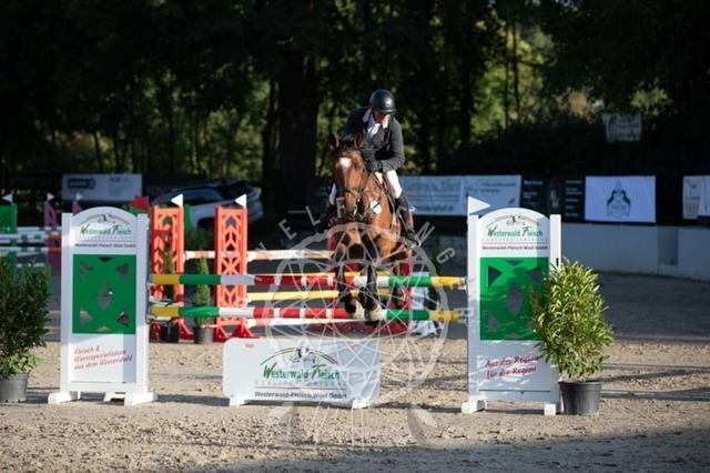 2B4A0925 | pixelfaenger - Realisiert mit Pictrs.com