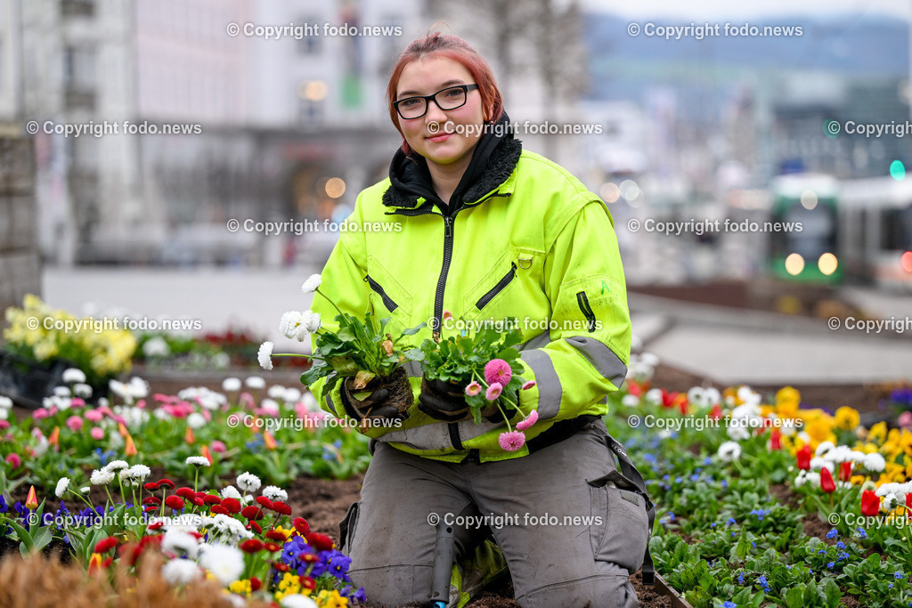 Blumen pflanzen_ Hauptplatz Linz_ 19.03.2024-4 | 19.03.2024, Hauptplatz Linz, AUT, Stadtgaerten, Blumen pflanzen im Bild Annabella Lugmayr (Lehrling in der Stadtgaertnerei, Magistrat Linz) beim Blumen pflanzen am Hauptplatz Linz