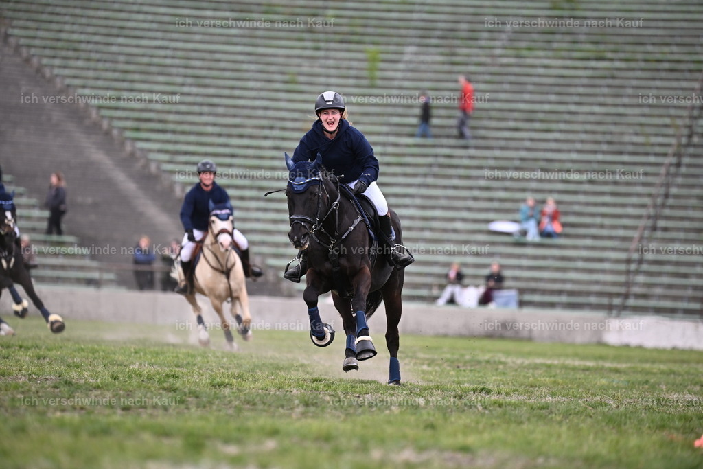 PI26_Show_Sara_Landvogt_226_1916.JPG | working equitationturnier fotograf videograf stoibphotography marixx film working equitation deutschland reitsport turnierfotografie eventfotografie equestrian events