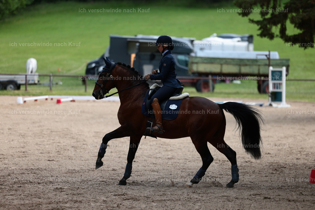 Masterclass_stoibphotography_C2_L6808.JPG | working equitationturnier fotograf videograf stoibphotography marixx film working equitation deutschland reitsport turnierfotografie eventfotografie equestrian events