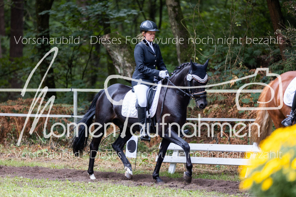 HB-Reiter-WB-046 | MomenTaufnahmen Pferdesportfotos