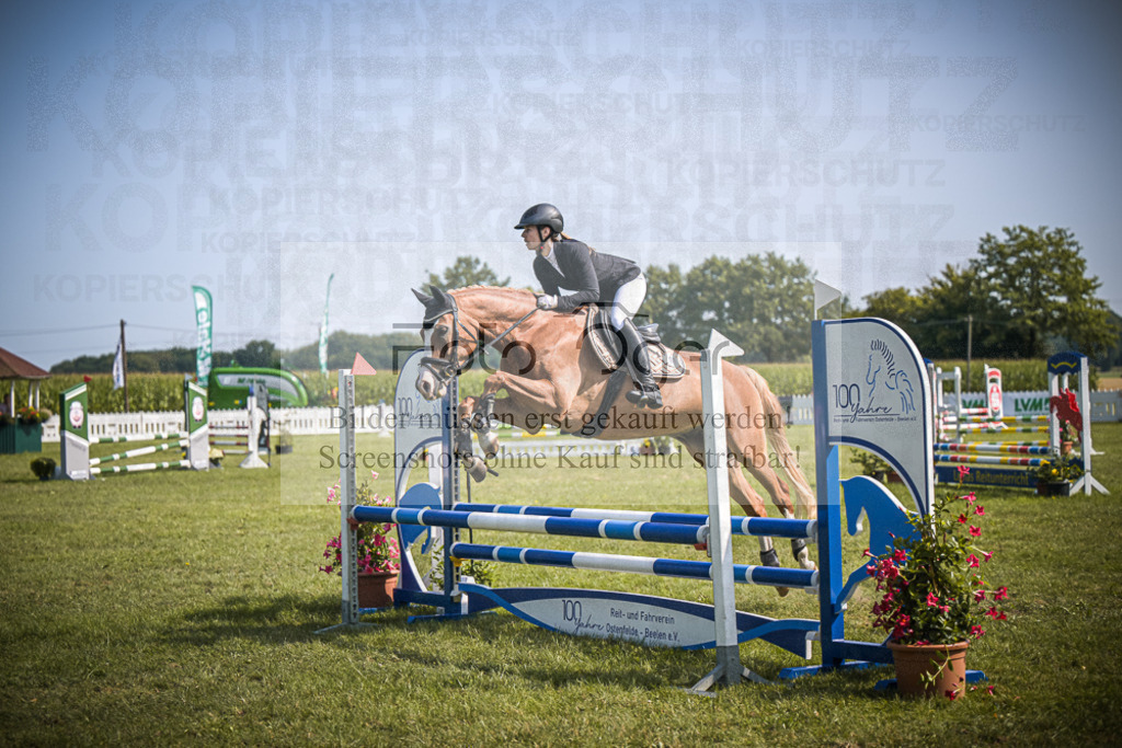 DOS_3151 | Entdecke hochwertige Reitturnierfotos von Foto Oger. Professionell, emotional und authentisch – jetzt Lieblingsmomente im Shop bestellen.Deutschlandweite Turnierfotografie. - Realisiert mit Pictrs.com