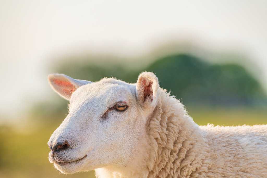 2022_06_29_HETLINGER-SCHANZE_MCP0126 | Hochwertig gedruckte Fotografien für die Wand, als Kalender und zum Verschenken. Hamburg & Norddeutschland und überall wo ich mit der Kamera unterwegs war.