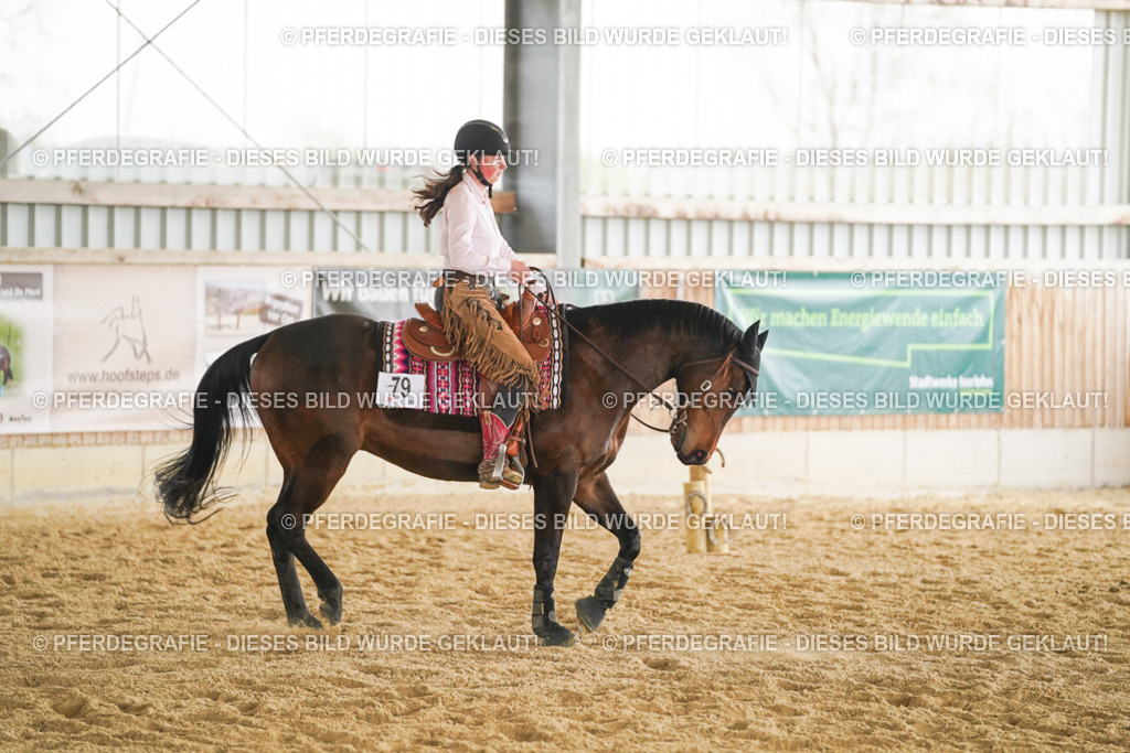 DSC05380 | Pferdegrafie