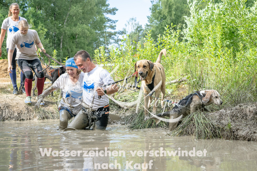 0916_ZZ91986 | kk-dogfotos