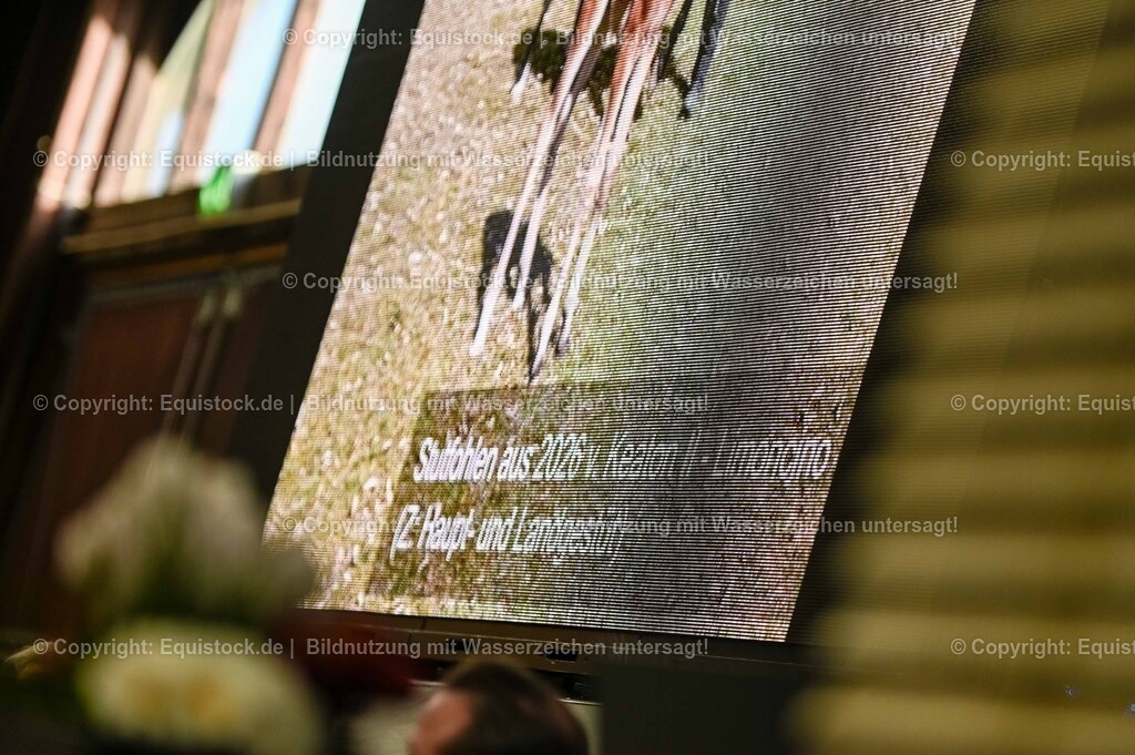 20260307_Hengstvorstellung-Marbach_0006 | equistock