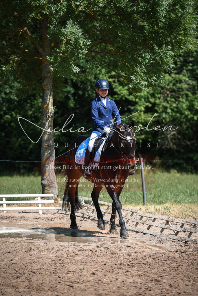 DSC_3344 | Pferde- und Turnierfotografie in Westsachsen. Pferdeportraits, Auftragszeichnungen und intuitive Kunst.