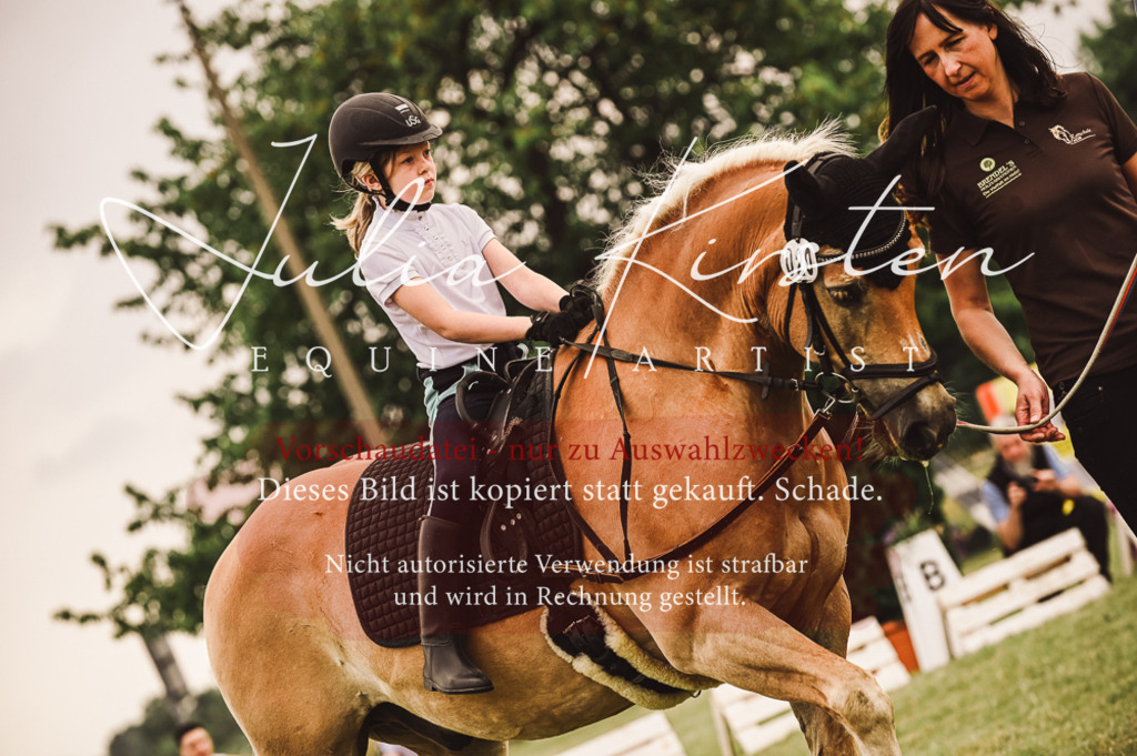 DSC_5271 | Pferde- und Turnierfotografie in Westsachsen. Pferdeportraits, Auftragszeichnungen und intuitive Kunst.