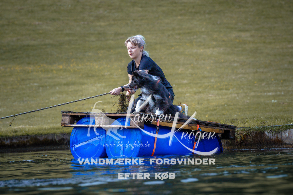 0835_ZZ99600 | kk-dogfotos