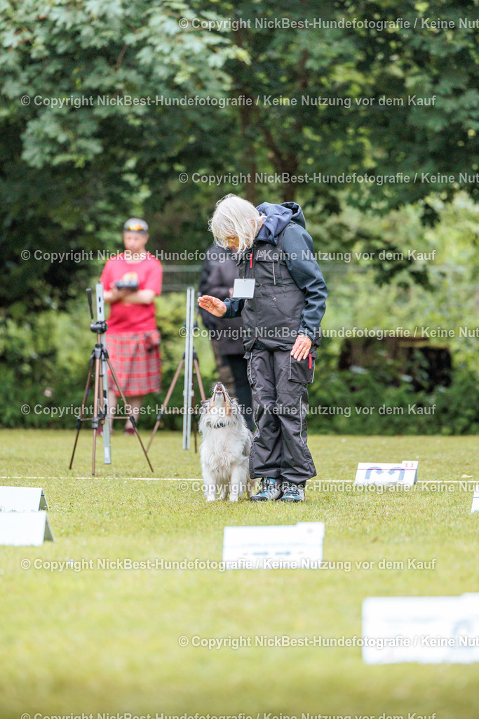 RO-Blumenthal-2026-Nickbest-Hundefotografie-0806 | Dein Hund! Dein Moment! Deine Erinnerungen! Hundefotografie in Bremen Blumenthal. Ich fange die besonderen Momente deines Vierbeiners ein – ob Indoor mit Blitzanlage oder in der freien Natur. Sicher dir dein Moment und dein Termin für eure Erinnerungen.