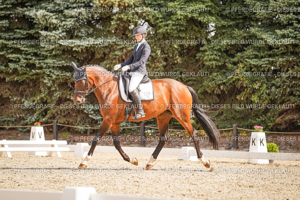 DSC01156 | Pferdegrafie