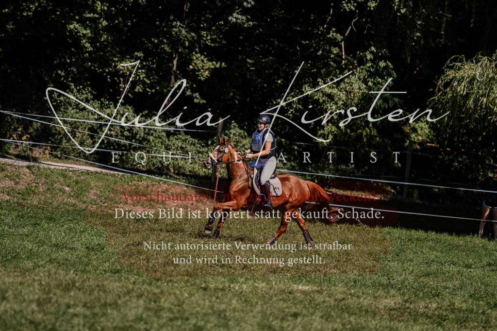 DSC_1667 | Pferde- und Turnierfotografie in Westsachsen. Pferdeportraits, Auftragszeichnungen und intuitive Kunst.