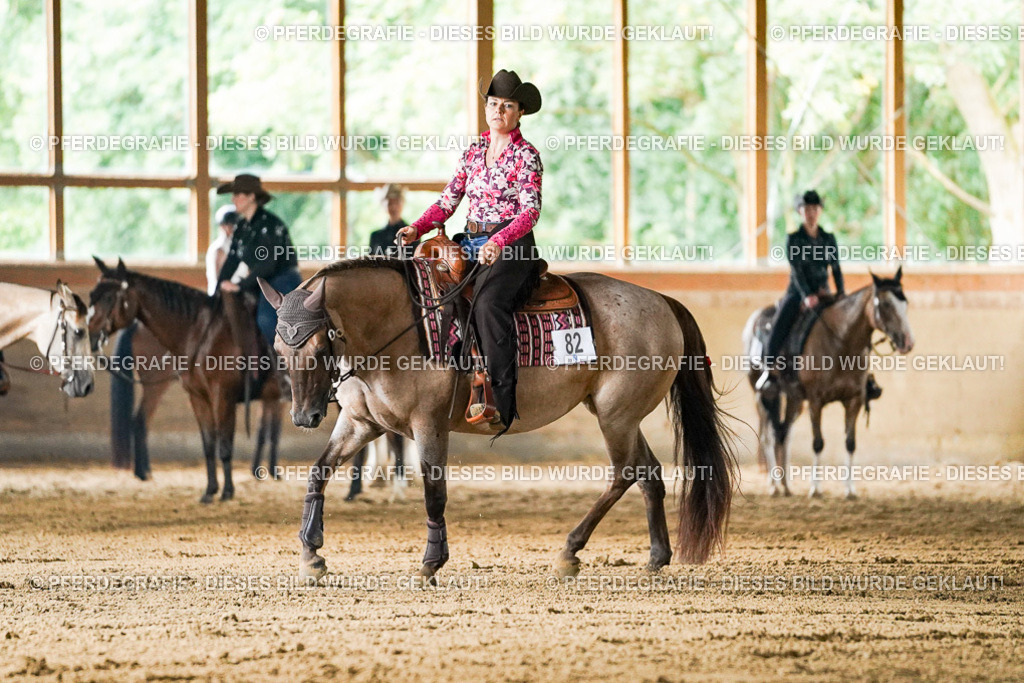 DSC05281 | Pferdegrafie