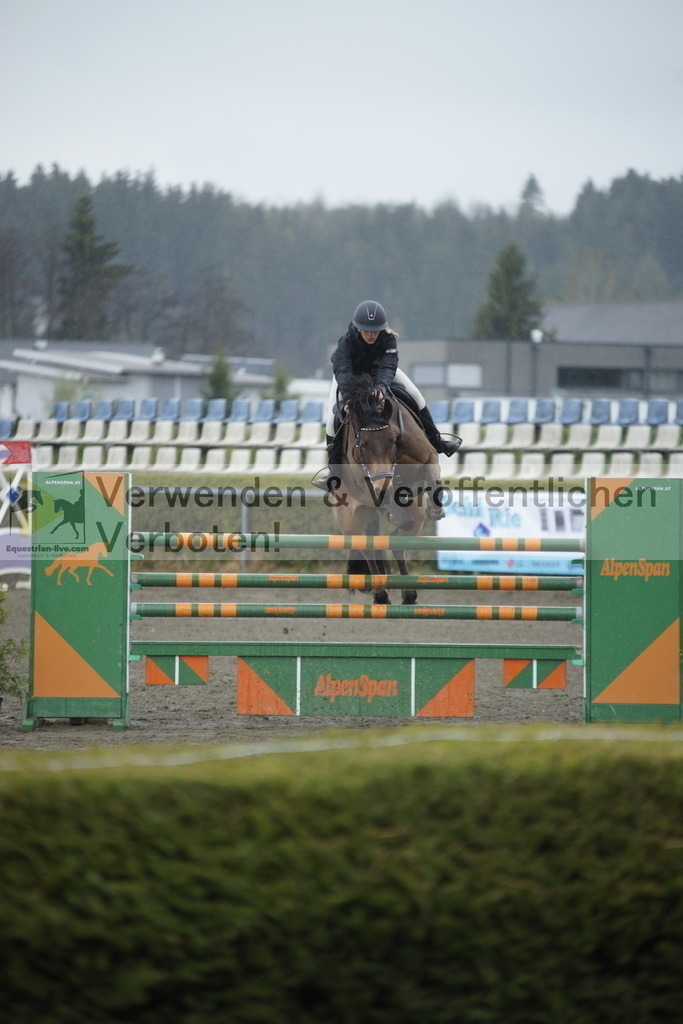 _DSC6168 | equestrian-live-com
