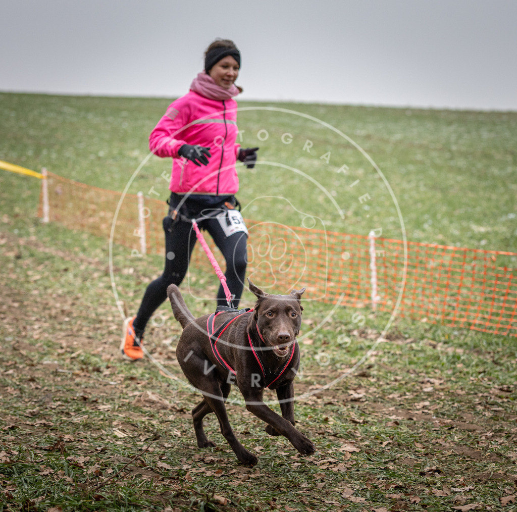 Pfotenfotografie_DV3A1873 | Hundefotografie, Tierfotograf, Pfotenfotografie, Fotoshooting Hund, Hunde Portrait, Hundesport, Hundeportraits, Heideshooting, Hunde, Sportfotograf, Hundefotograf, Turnierhundsport, THS,  - Realisiert mit Pictrs.com