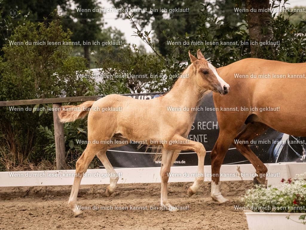 A10I2817 15.56.13 | photographylinaismer - Realisiert mit Pictrs.com