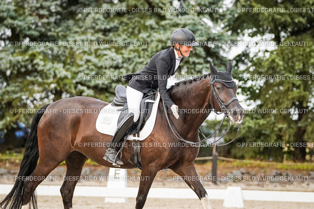 DSC09077 | Pferdegrafie