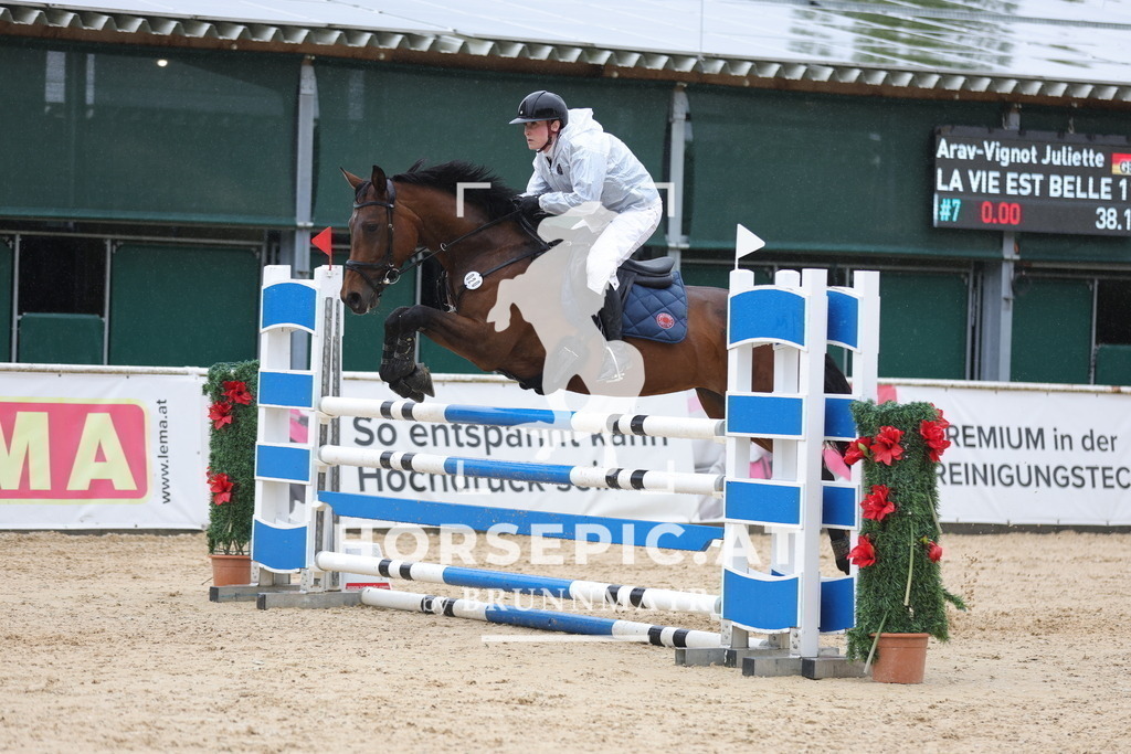 0P6A2423 | Willkommen bei Brunnmayr - Design & Fotografie – Ihrem Spezialisten für Reitturniere und Pferdeveranstaltungen in Oberösterreich, Salzburg und Bayern! Seit über 17 Jahren sind wir leidenschaftlich dabei.