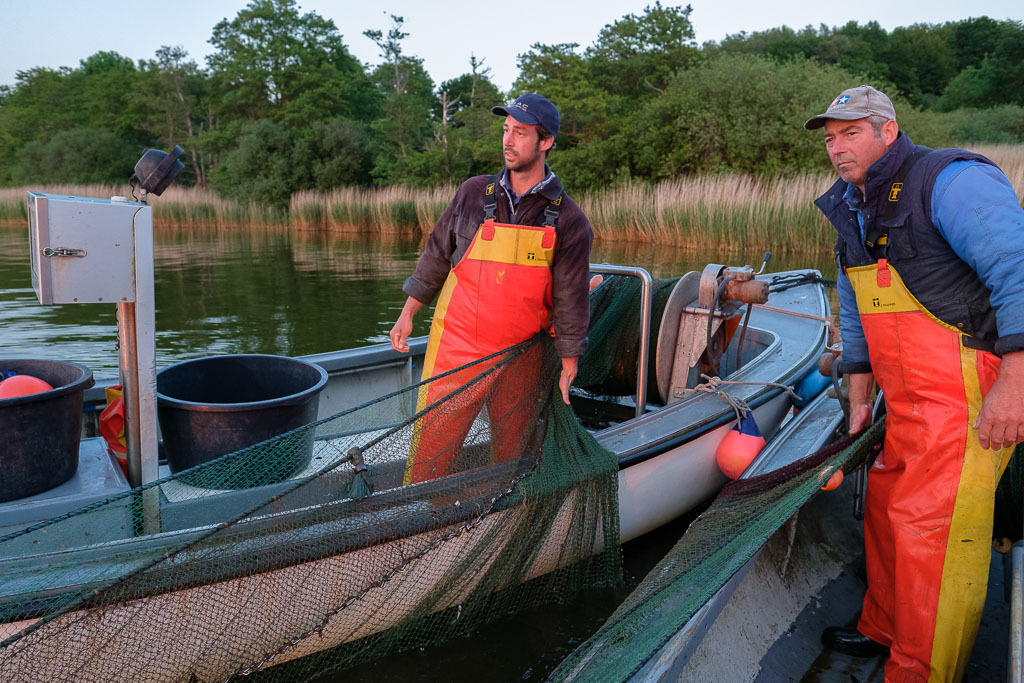 zeitenwende-farbe-03-11 | Die Schleswiger Fischer Jörn und Nils Ross (links) beim Einholen eines Wadennetzes auf der Kleinen Breite der Schlei. Höchste Konzentration ist gefragt. Jeder Griff muss sitzen. - Realisiert mit Pictrs.com