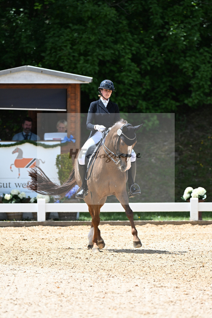 Winklmeier_Miss Maj_11252701 | hf-fotografie - Realisiert mit Pictrs.com