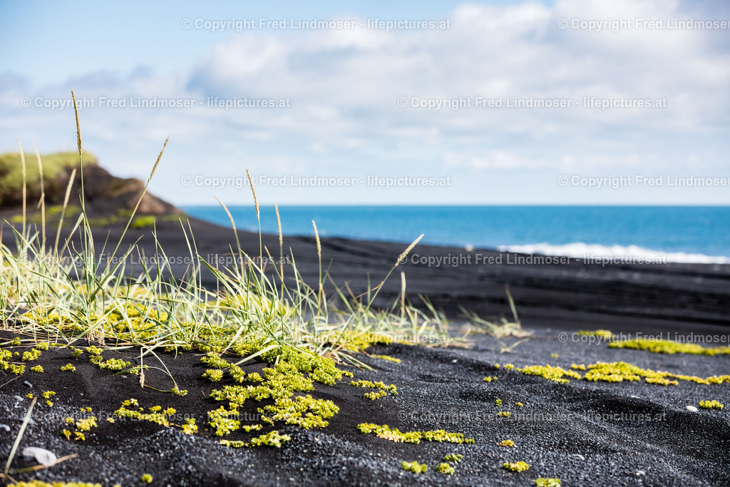 Island Gent Reykjavik-7912 | Fotos und Fotoprodukte - Realisiert mit Pictrs.com