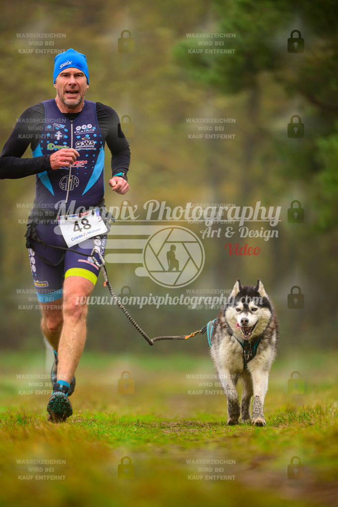 MompixPhotography_Bischwiller2025_Canicross-162 | mompixphotography