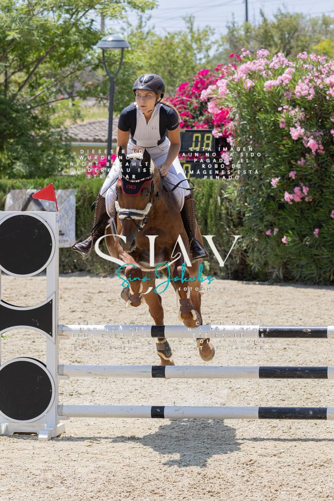 IMG_1871 | s-jay-photography - Realisiert mit Pictrs.com