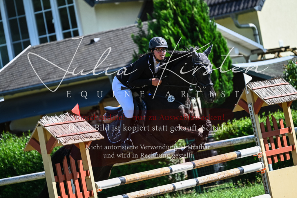 DSC_1630 | Pferde- und Turnierfotografie in Westsachsen. Pferdeportraits, Auftragszeichnungen und intuitive Kunst.