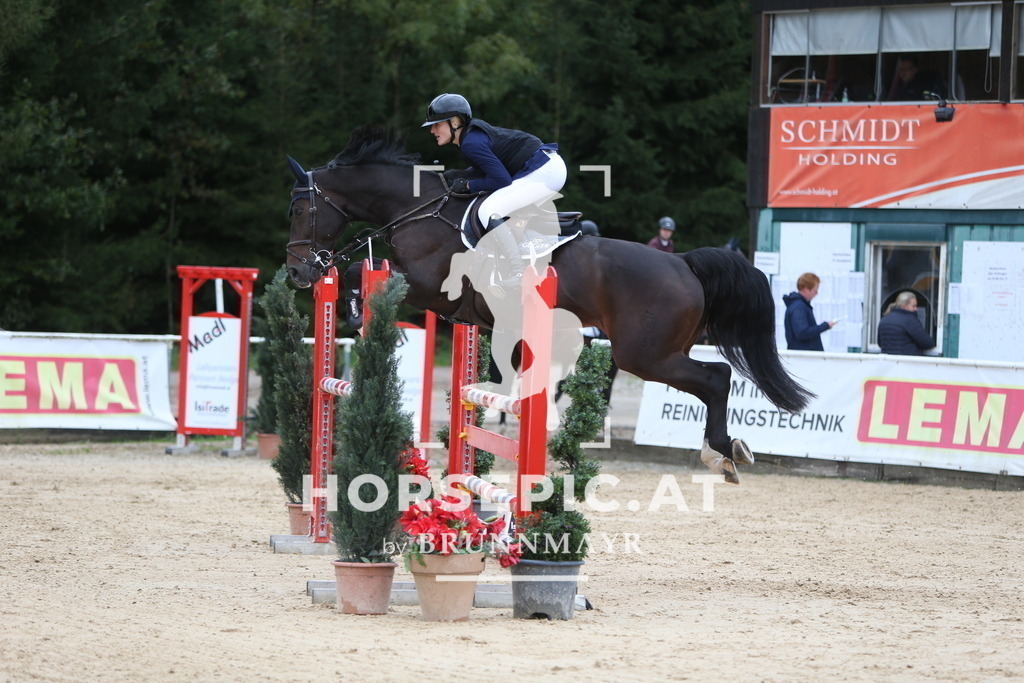 DL2Q3756 | Willkommen bei Brunnmayr - Design & Fotografie – Ihrem Spezialisten für Reitturniere und Pferdeveranstaltungen in Oberösterreich, Salzburg und Bayern! Seit über 17 Jahren sind wir leidenschaftlich dabei.