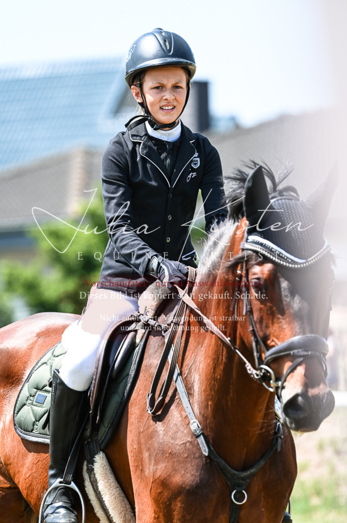 DSC_9875 | Pferde- und Turnierfotografie in Westsachsen. Pferdeportraits, Auftragszeichnungen und intuitive Kunst.