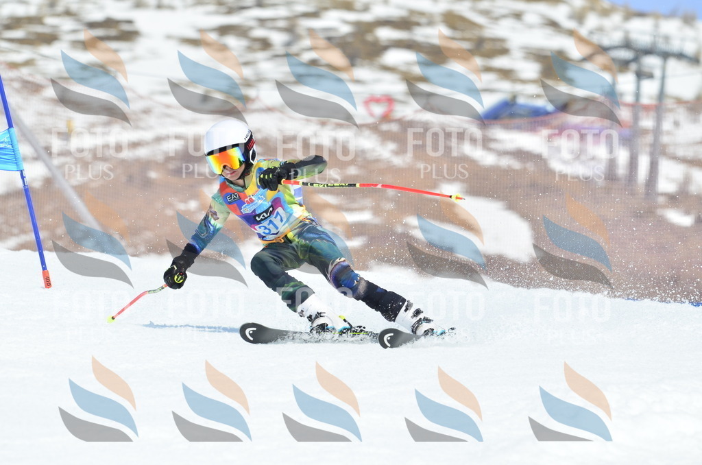 _ELE2407 | holidayphoto