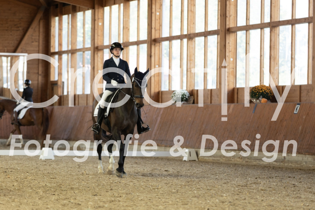 IMG_4691 | Creatify Fotografie