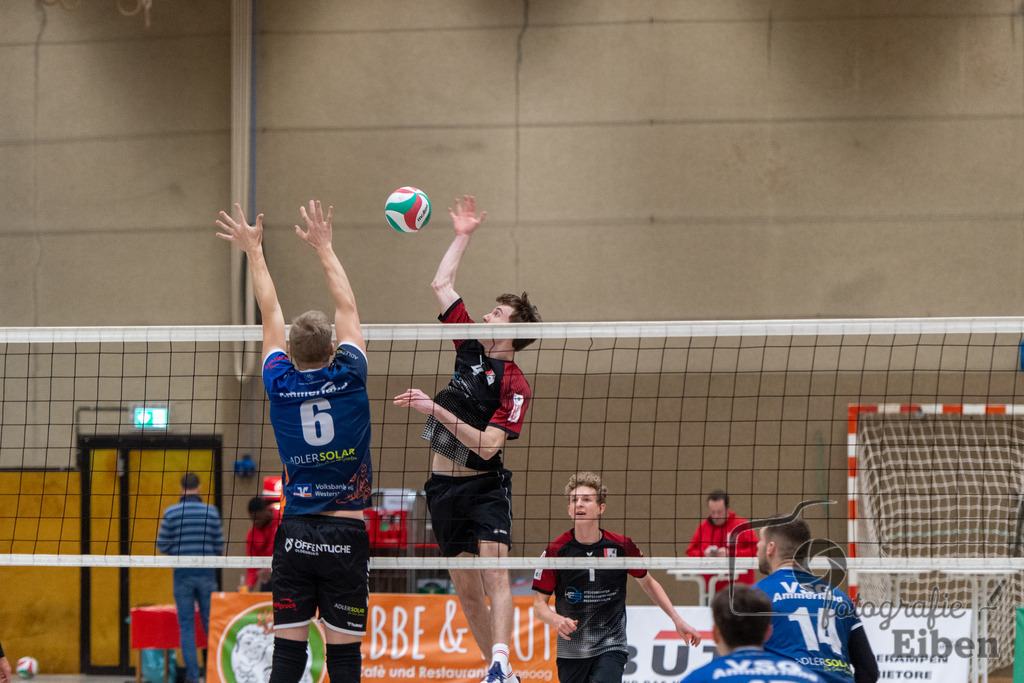 Oldenburger TB-VSG Ammerland | Volleyball Regionalliga; Oldenburger TB-VSG Ammerland am 24.01.2026 in Oldenburg (Sporthalle Haarenesch), Photo: Philip Eiben 2026 - Realisiert mit Pictrs.com