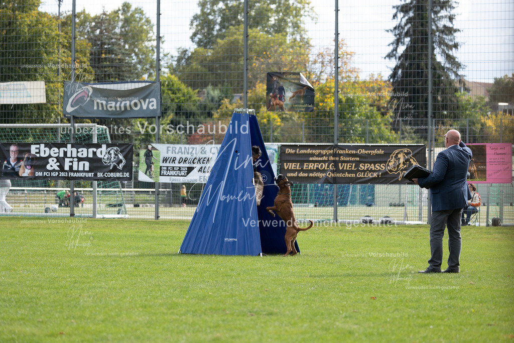 _16A7018 | Einzigartige Fotos von Hunden & Menschen –Actionfotos, Portraits, Vereinsaufnahmen & Paarshootings – authentisch, lebendig & mit Herz.