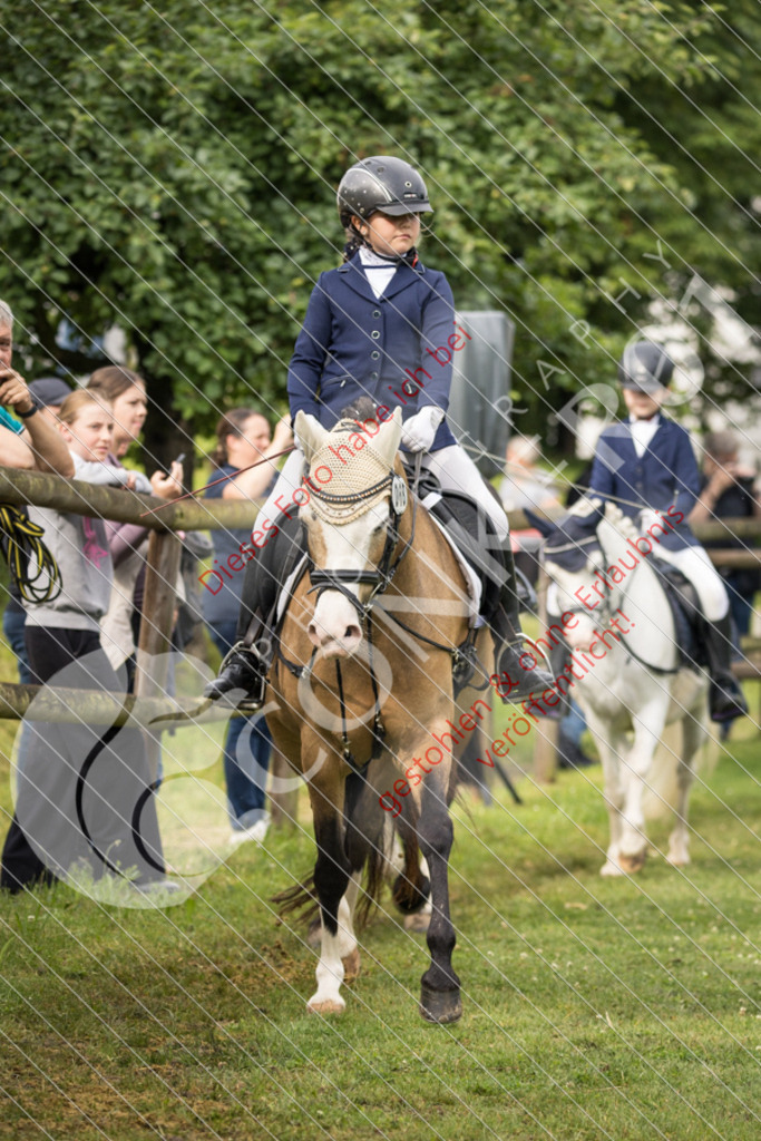 IMG_1579 | Sport-, Event- und Tierfotos in Profiqualität. Einfach auswählen, bestellen und herunterladen. Dein Moment – perfekt festgehalten.