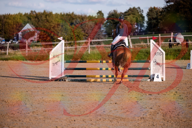 2026_10_03_Siefer-Hof_171217_Z81_09378076 | Professionelle Reitsport-, Turnier- und Eventfotografie von Robert Broda. Galerien mit ausgewählten und bearbeiteten Bildern direkt online ansehen und bestellen.