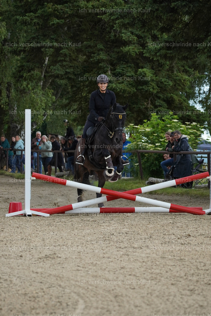 KlasseL_Lucie (10) | working equitationturnier fotograf videograf stoibphotography marixx film working equitation deutschland reitsport turnierfotografie eventfotografie equestrian events