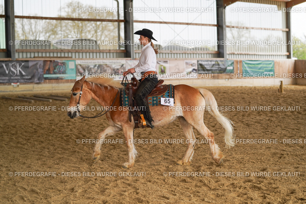 DSC01212 | Pferdegrafie