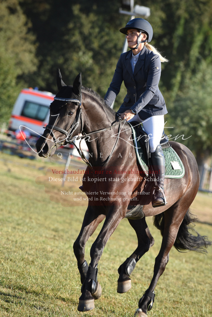 DSC_4956 | Pferde- und Turnierfotografie in Westsachsen. Pferdeportraits, Auftragszeichnungen und intuitive Kunst.